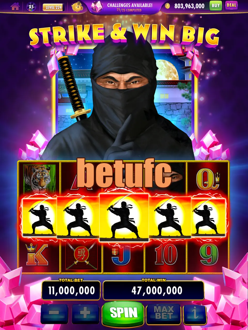 betufc Baixar
